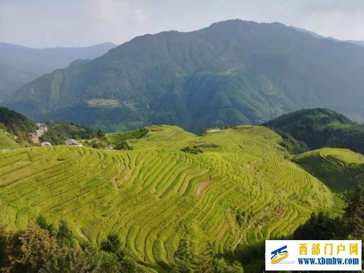 桂林旅游攻略必去景點(推薦這6個)(圖4) 桂林旅游攻略必去景點(推薦這6個)(圖4)