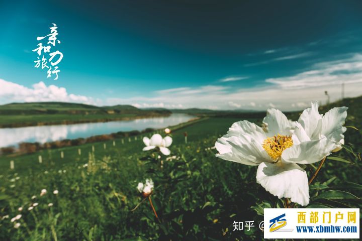 呼倫貝爾6日游詳細攻略-呼倫貝爾旅游十大旅游景點推薦(圖12) 呼倫貝爾6日游詳細攻略-呼倫貝爾旅游十大旅游景點推薦(圖12)