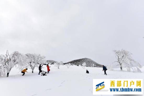 重慶酉陽現(xiàn)雪凇云海似仙境(圖2)