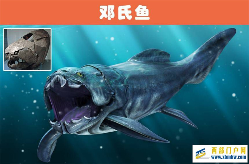 恐龍是地球上的絕對王者嗎？7個被一些人認為比恐龍更可怕的動物(圖1)
