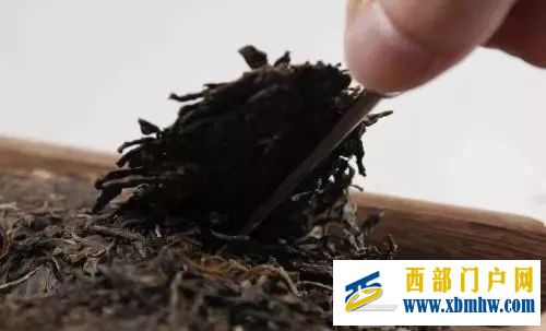 普洱筆記(二十三)只知道喝普洱茶,而不懂普洱茶...(圖3) 普洱筆記(二十三)只知道喝普洱茶,而不懂普洱茶...(圖3)