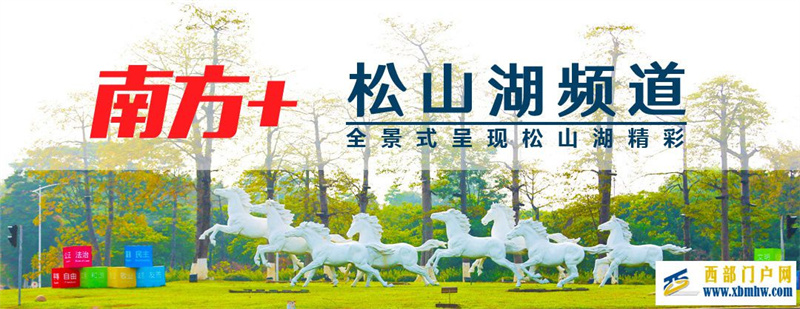 把培訓(xùn)班開到貴州銅仁!莞銅攜手育人才、促發(fā)展(圖1) 把培訓(xùn)班開到貴州銅仁!莞銅攜手育人才、促發(fā)展(圖1)