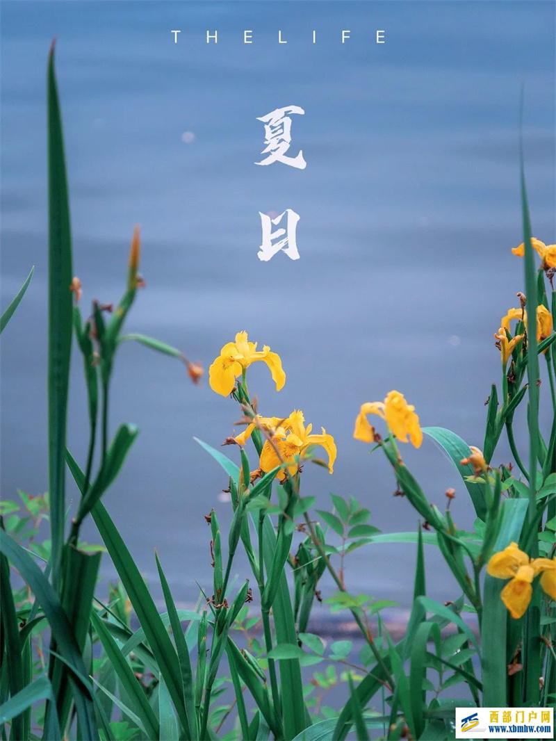 絕美,貴陽的夏天,來將快樂進行到底(圖1) 絕美,貴陽的夏天,來將快樂進行到底(圖1)