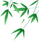 貴港移動,粽情粽意,不負粽望(圖2)
