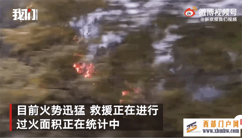 林芝突發(fā)大火!世事無常,我們等不起來日方長(圖2)