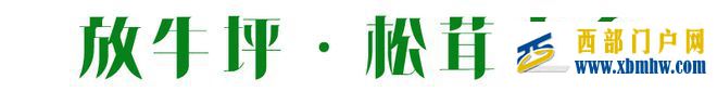 聽說麗江有個松茸之鄉?走,盤它!(圖1) 聽說麗江有個松茸之鄉?走,盤它!(圖1)