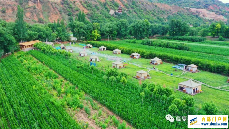 在臨夏有一種田園叫“采菊東籬下悠然見南山”(圖1) 在臨夏有一種田園叫“采菊東籬下悠然見南山”(圖1)