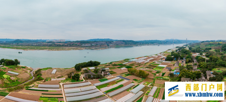 不負春光好,九龍坡春播迎來好光景(圖1) 不負春光好,九龍坡春播迎來好光景(圖1)