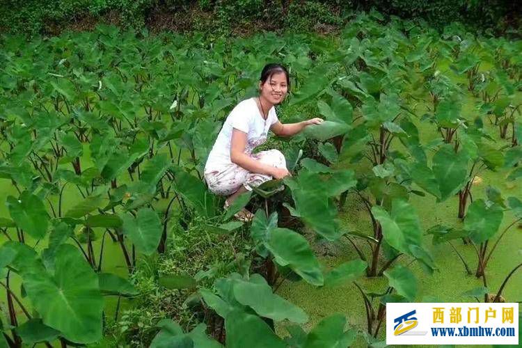 嫁給廣西的男人是不是會傷心？為何廣西女人外嫁多？(圖1)