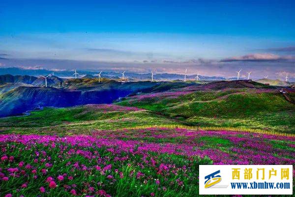 畢節市“洞天福地·花海畢節”旅游標識在赫章縣發布(圖2)