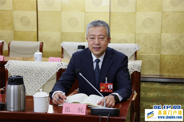 張銳代表：全力打造“兩都” 重振包頭雄風(圖1)