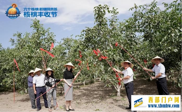 六個核桃·新疆阿克蘇溫宿核桃豐收節開幕 帶動農民增產增收(圖1) 六個核桃·新疆阿克蘇溫宿核桃豐收節開幕 帶動農民增產增收(圖1)