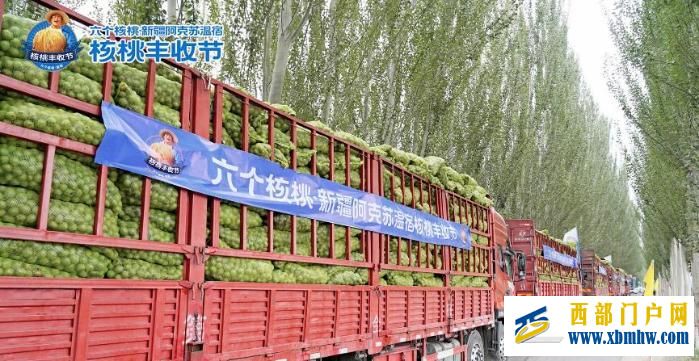 六個核桃·新疆阿克蘇溫宿核桃豐收節開幕 帶動農民增產增收(圖3) 六個核桃·新疆阿克蘇溫宿核桃豐收節開幕 帶動農民增產增收(圖3)