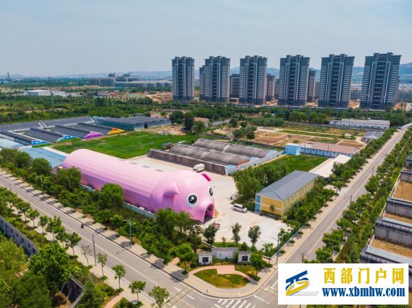 【大國新村:沿著總書記的足跡】濟南章丘:富民強村促振興(圖2) 【大國新村:沿著總書記的足跡】濟南章丘:富民強村促振興(圖2)