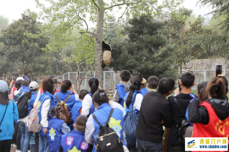 陜西:40名“星星的孩子”暢游西安秦嶺野生動物園(圖1) 陜西:40名“星星的孩子”暢游西安秦嶺野生動物園(圖1)