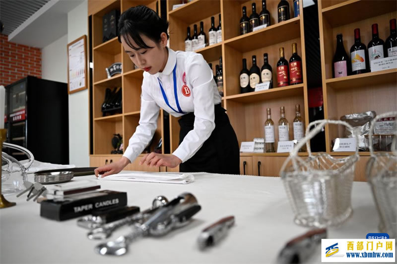 賀蘭山下品美酒 比技能(圖1)