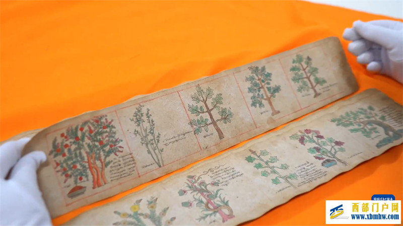 藏醫藥古籍在博物館煥發新生(圖3) 藏醫藥古籍在博物館煥發新生(圖3)