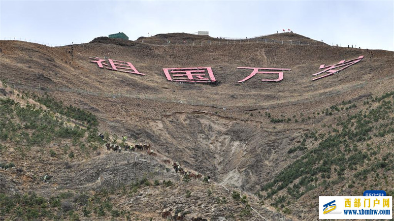 西藏拉薩:只此青綠畫“兩山”(圖2) 西藏拉薩:只此青綠畫“兩山”(圖2)