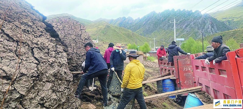 把綠色夢想寫在家鄉的大地上(圖2)