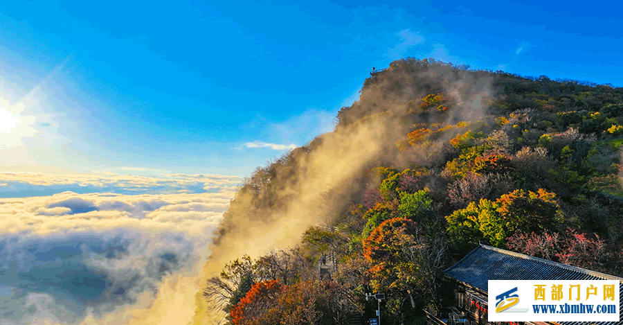 漢中龍頭山：千枝萬葉披霞錦 秋色斑斕碧云邊(圖3)