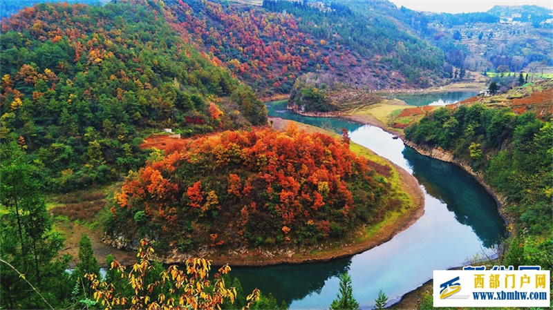 六盤水鐘山區： 紅葉滿山 冬景如畫(圖5)