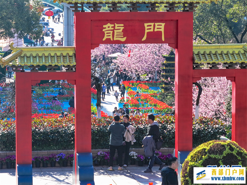 重慶南山：賞花正當時(圖1)