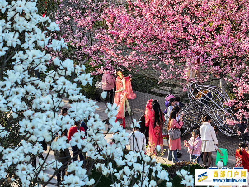 重慶南山：賞花正當時(圖5)